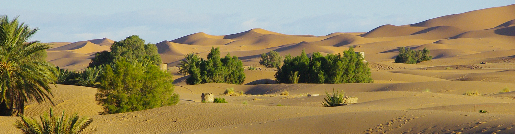 Ou Regarder Maroc Afrique Du Sud Quoi voir et que faire dans le sud du Maroc