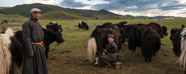 Horseback Mongolia