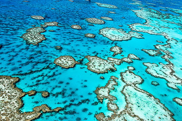 Vue aérienne de la Grande Barrière de Corail en Australie