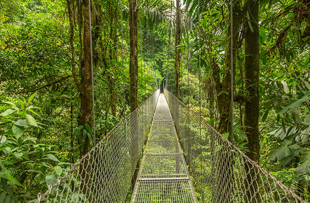 Forêt Monteverde