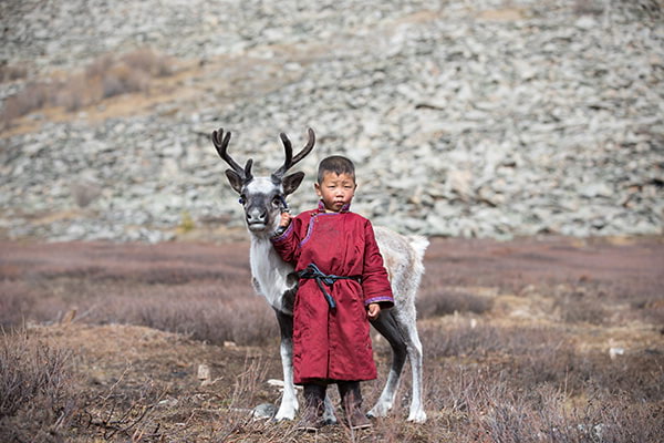 Enfant Tsaatan et renne en Mongolie