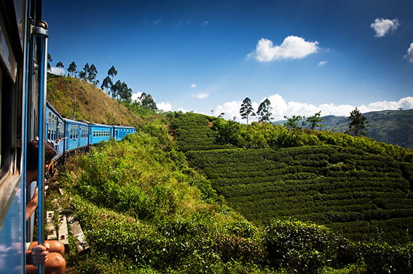 Train sur la route de Kandy