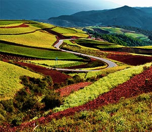 Quoi voir et que faire en Chine, dans la province du Yunnan ?
