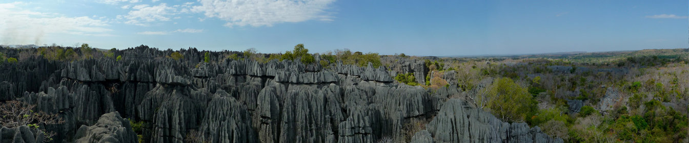 Quoi voir et que faire au Tsingy de Bemaraha à Madagascar ?