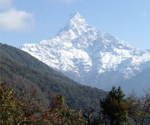 Quand partir pour le trek du Mardi Himal au Népal ?