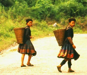 Trek au Vietnam : au coeur de la route du thé