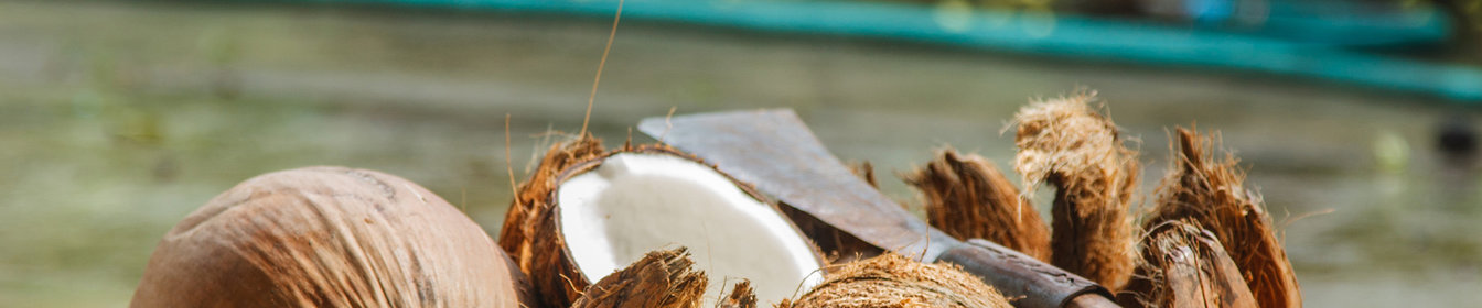 La noix de coco tient ses origines du Sri Lanka