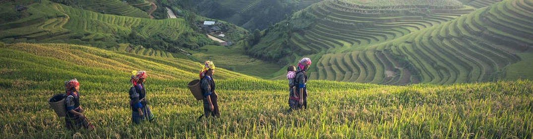 Voyage au Laos en famille : les conseils d'un expert