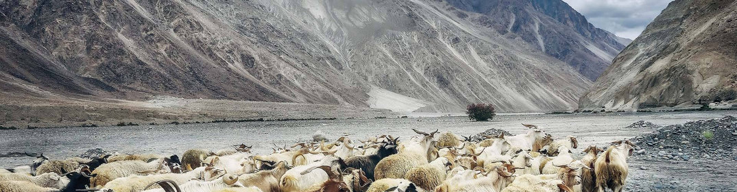 La région du Ladakh en Inde, entre nature et culture