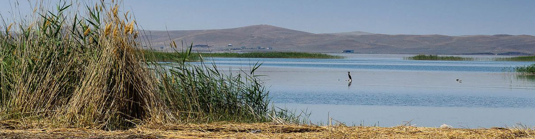 Le lac Aydarkul en Ouzbékistan