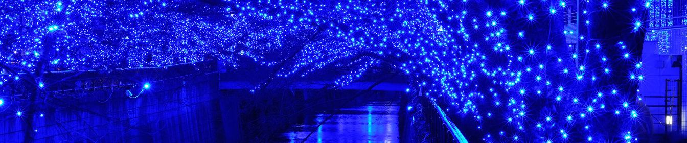Tokyo et ses plus belles illuminations de Noël