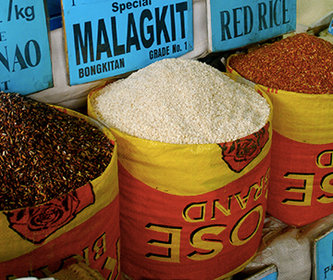 Le riz aux Philippines : une culture aux mille variétés