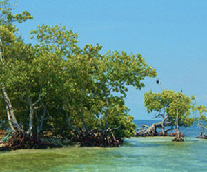 Belize, un paradis perdu