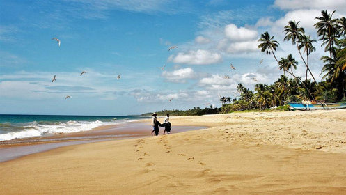 Les 5 plus belles plages du Sri Lanka