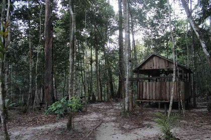 On a testé pour vous : dormir dans la forêt en Amazonie