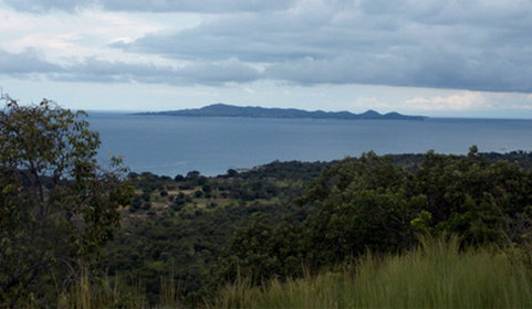 La  réserve  spéciale  de  Maputo