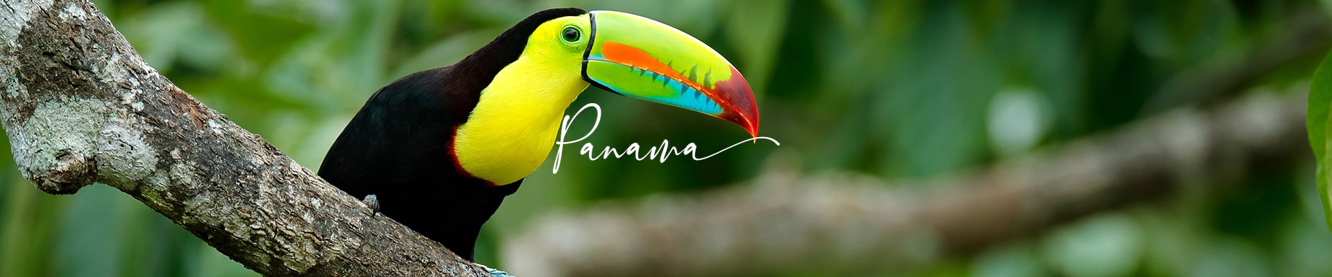 images/panos/desktop/panama