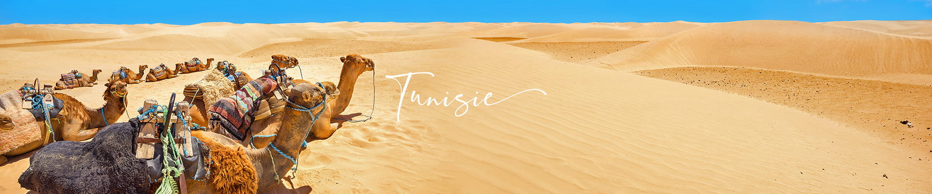 images/panos/desktop/tunisie