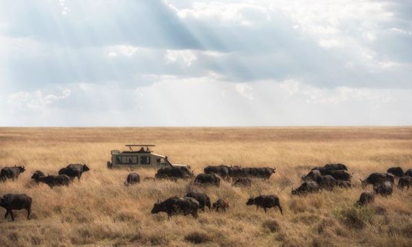 Culture & Safaris en Tanzanie