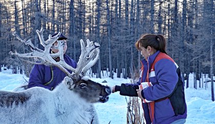 Festival de glace et Visite chez les Tsaatans en Mongolie