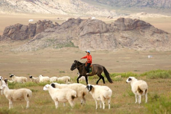 Tempo Aventure Arkhangaï en Mongolie