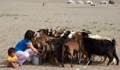 Voyage en famille à la découverte de la Mongolie