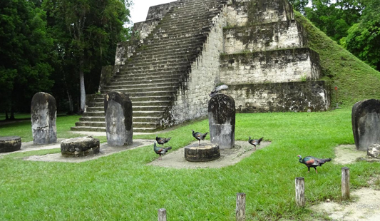 agence-voyage-locale-guatemala-mayan-zone-temple
