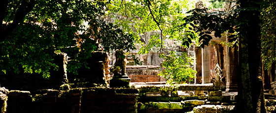 Découvrez les jardins du Mékong avec Amica travel, agence de voyage locale au Vietnam
