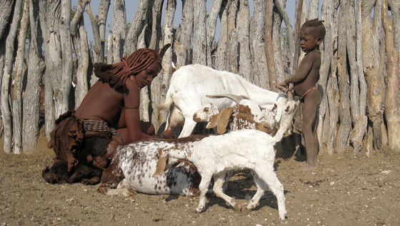 Visiter la région de Kunene en Namibie