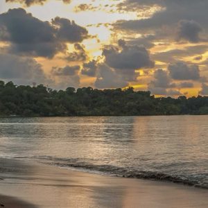 Quoi voir à la péninsule d'Osa au Costa Rica