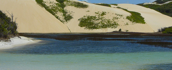 Pipa au Brésil, ce sont aussi des lagunes turquoises entourées de dunes de sables blanc