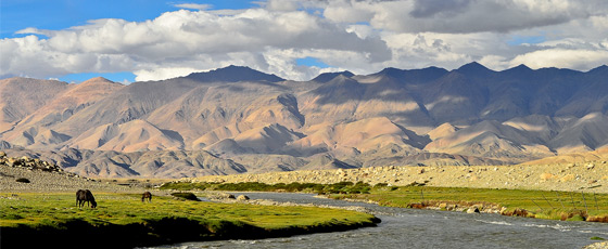 Le plateau du Ladakh : que faire ? 