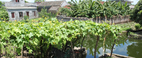 Village entouré de verdure en bord de rivière