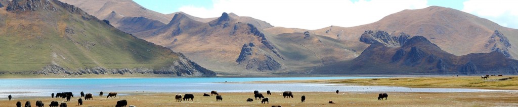 Bonne période pour voyager au Yamdrok au Tibet