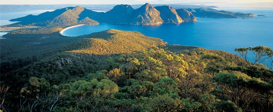 Vous ne manquerez pas d'être surpris en découvrant la Tasmanie avec une agence de voyage locale.