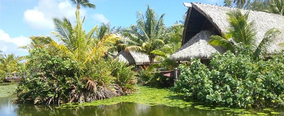 temoignage-trente-jours-en-polynesie-agence-de-voyage-locale-e-thaiti-travel-3