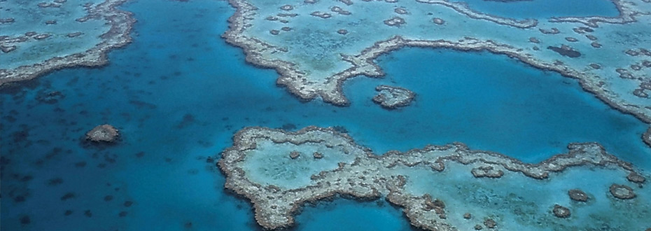 Impact du réchauffement climatique sur la grande barrière de corail en Australie