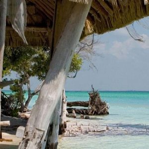 Paysage paradisiaque sur l'île Holbox au Mexique.