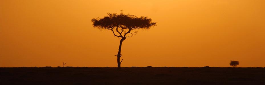 Coucher de soleil lors d'un safari en Afrique.