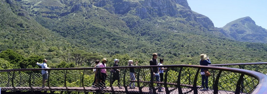 Skeleton Gorge est un trek à faire absolument au Cap en Afrique du Sud