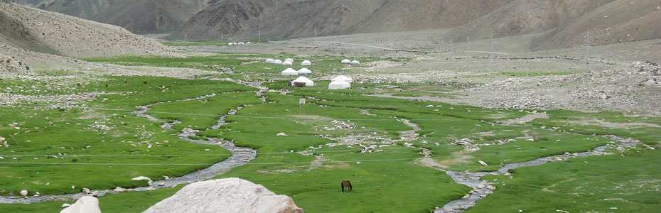 Les vallées mongoles offrent des paysages verdoyants.