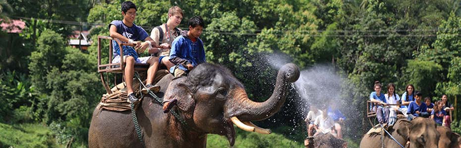Faire une balade à dos d'éléphant est une activité incontournable lors d'un voyage en famille au Laos.