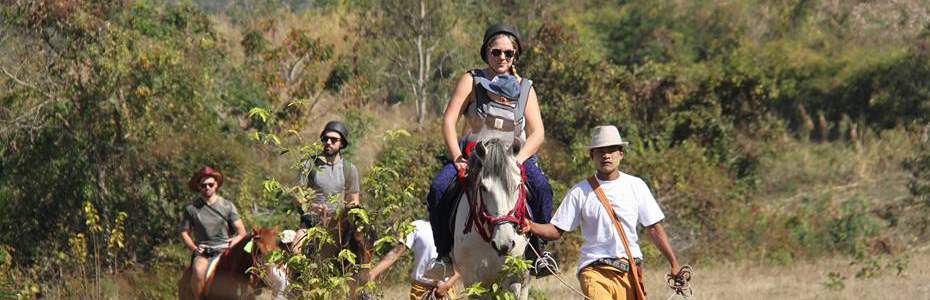 Balade à cheval accompagné d'un guide.