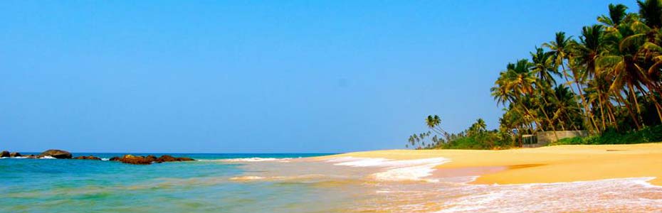 Les plage paradisiaques du Sri Lanka.