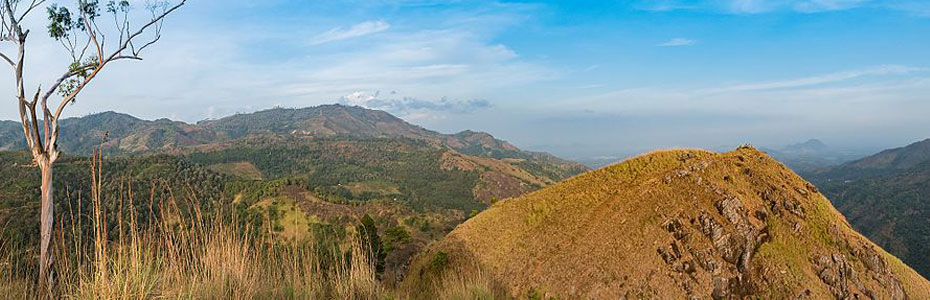 Vue de l'Adam's Peak au Sri Lanka.
