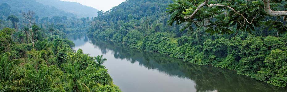 Le Rio Negro en Amazonie.