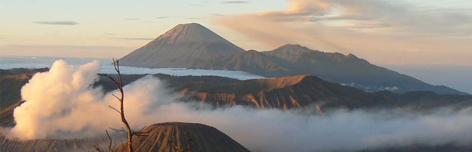 Panorama de la région du Bromo en Indonésie.
