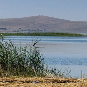le lac Aydarkul possède une riche flore