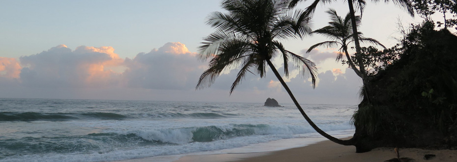 Rêvez en découvrant les plus belles plages des Caraïbes