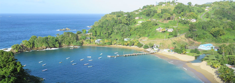 Faites un tour sur les belles plages de Trinidad et Tobago